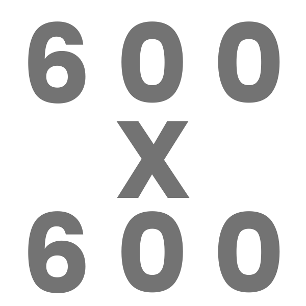 600 x 600 (1)